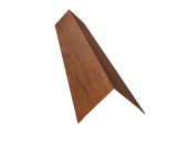 Угол внешний 110х110 0,45 Print Premium Golden Wood Fresh TwinColor (2м) Центр Кровли