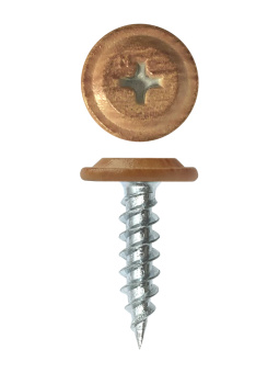 картинка Саморез ПШ Daxmer Pro 4,2х19 (500шт) шлиц PH2, сосна Центр Кровли